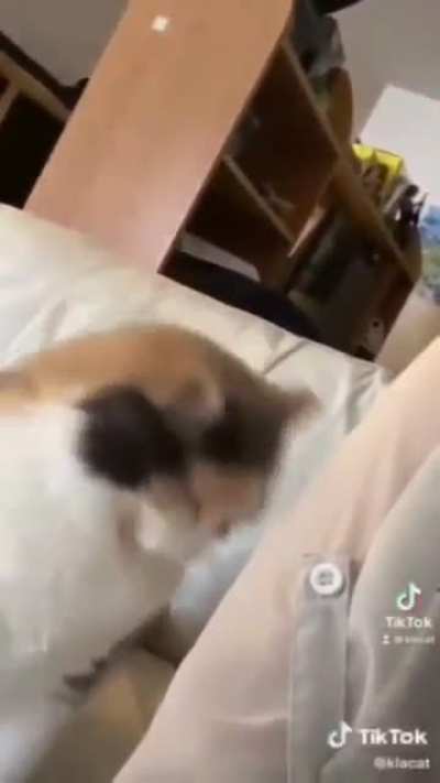 my bf sent me this