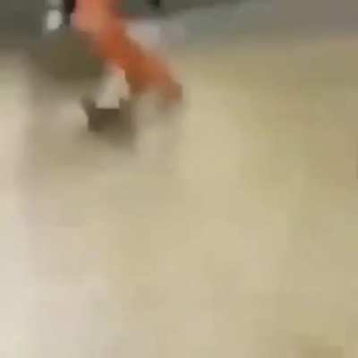 Esse v&iacute;deo &eacute; a maior BAGUN&Ccedil;A que voc&ecirc; vai ver hoje