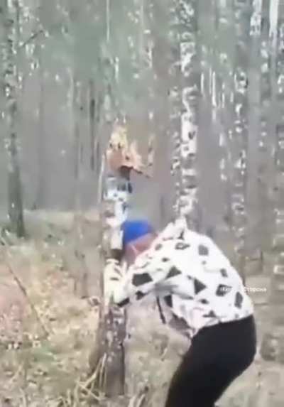 Tree knocking