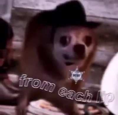 He&rsquo;s an outlaw