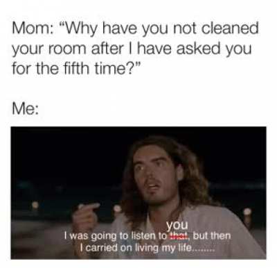 Invisible Mom Cancelling Headphones