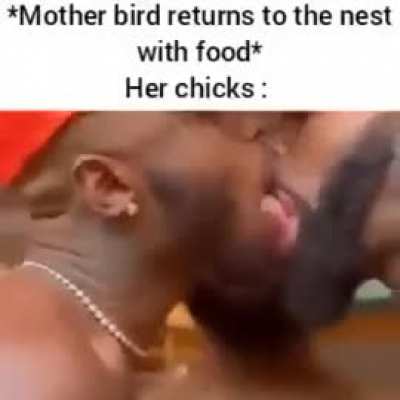 GaY💦irL