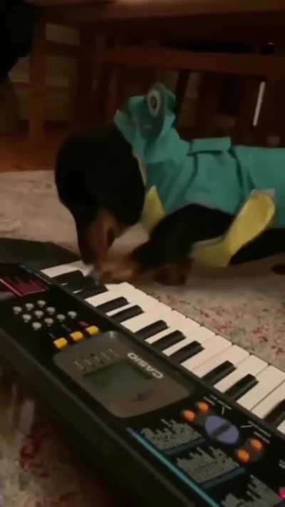 Musical talent....