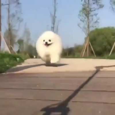 Speedy cloud