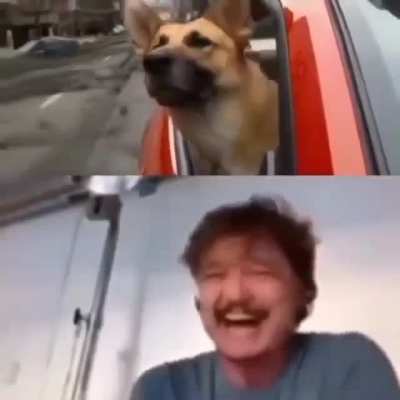 :(