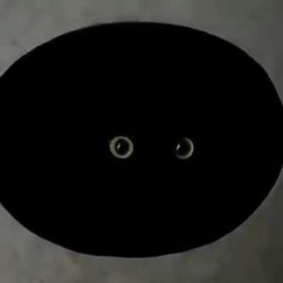 Which one of ya's been feeding chicken to the voids again? I thought I told ya to not feed the unending darkness incarnate...