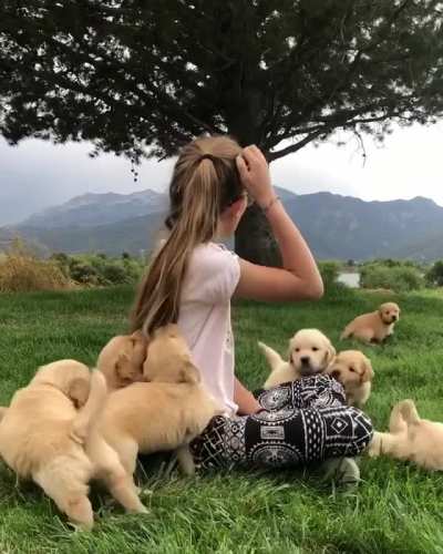 What heaven is like