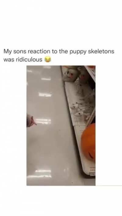 If this was already posted just lmk and I&rsquo;ll take it down