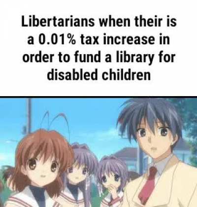 "Socially liberal fiscally conservative"