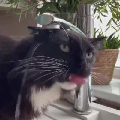 hmmm
