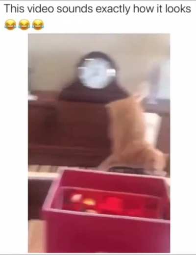 This cat has some serious piano skills