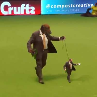blursed_dog_show