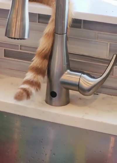 Now I see where the water bill comes from