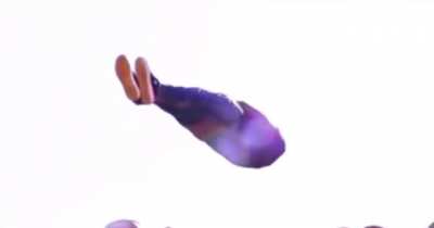 Violent crimes got me like