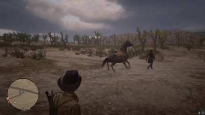 When your horse doesn&rsquo;t want to go for a walk