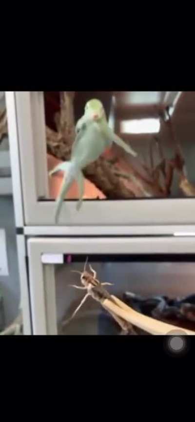 So close