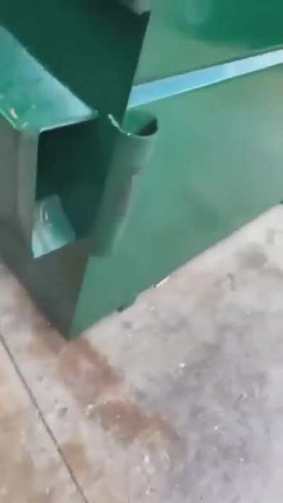Harassing raccoons inside a waste container