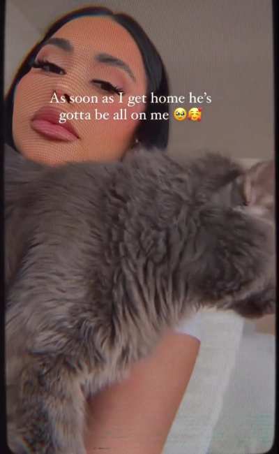 Animal lovers 🐈&zwj;⬛🖤 &amp;gt;&amp;gt;&amp;gt;&amp;gt;&amp;gt;&amp;gt;&amp;gt;&amp;gt;&amp;gt;&amp;gt;&amp;gt;&amp;gt;&amp;gt;&amp;gt;&amp;gt;&amp;gt;&amp;gt;&amp;gt;&amp;gt;&amp;gt;