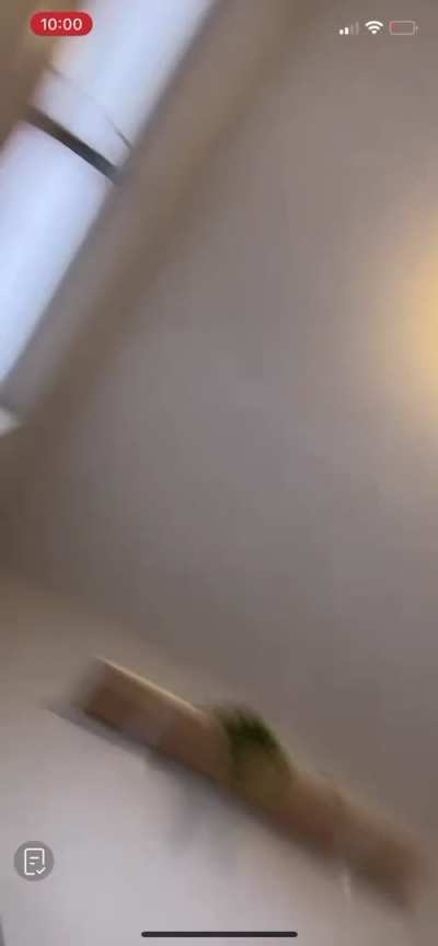 phattcatt2.0
