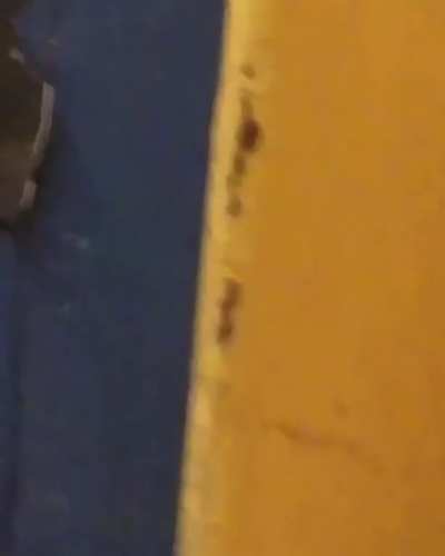 My ass would of been running