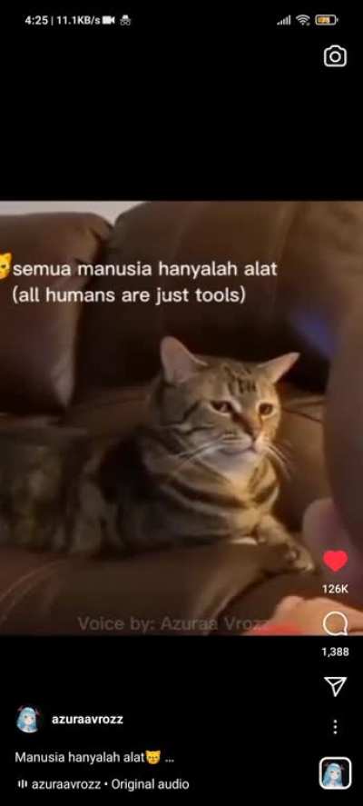 found this randomly at 3am and almost died laughing