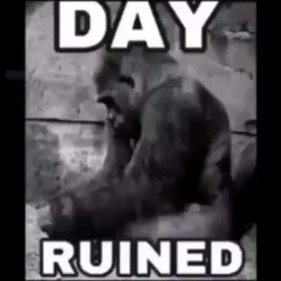 Hehe