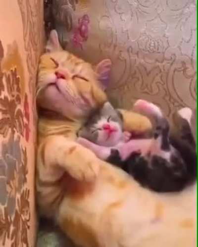 big and small