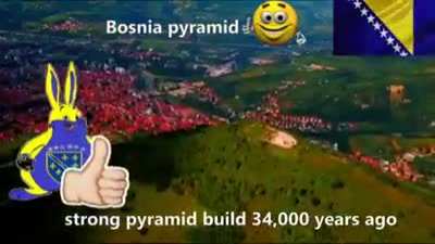 Bosnia stronk