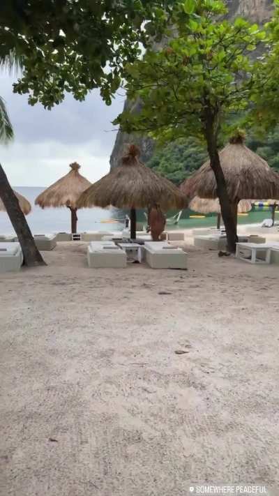 A view 