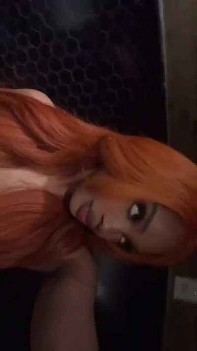 Lebra Jolie