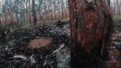 Successful assault on four Russian positions by the Azov Brigade under the command of Denys "Redis" Prokopenko
