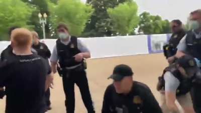 Crowed attacking the White House