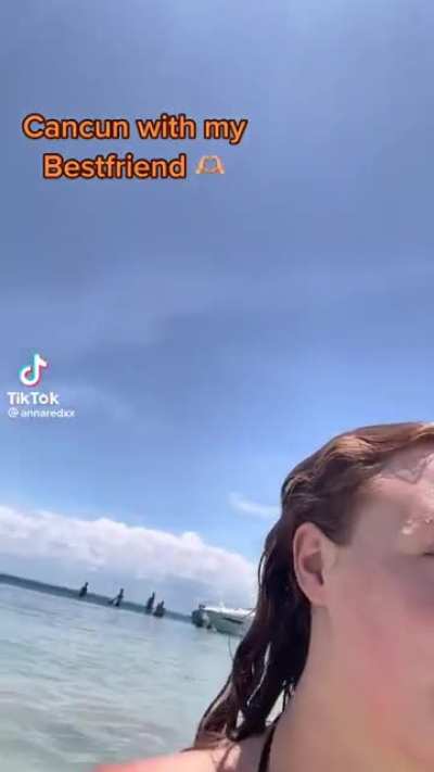 Great tits
