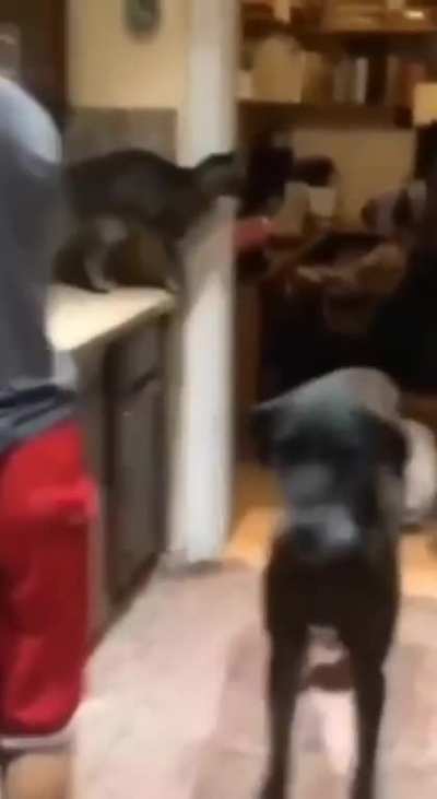 Title
