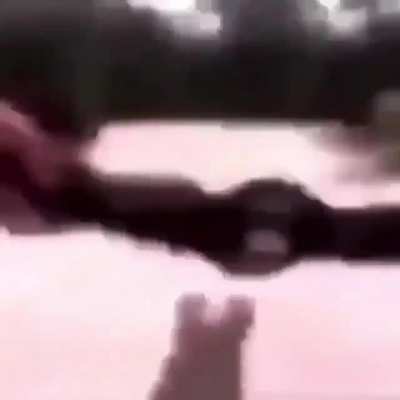 Embrace Monke