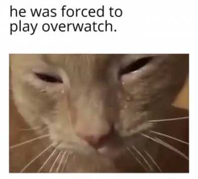 rule