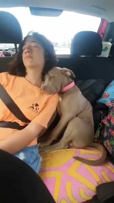 Road Trip <3