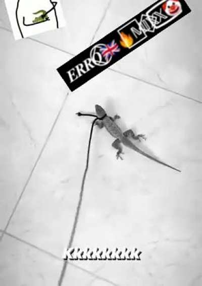 Lacoste is different