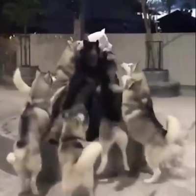 "ONE OF US ONE OF US"