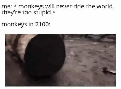 Monkey rule the world!