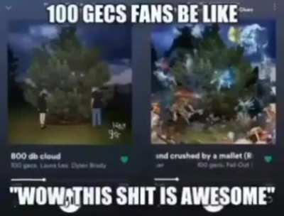 100 gecs