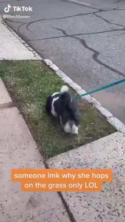 She must be part bunny