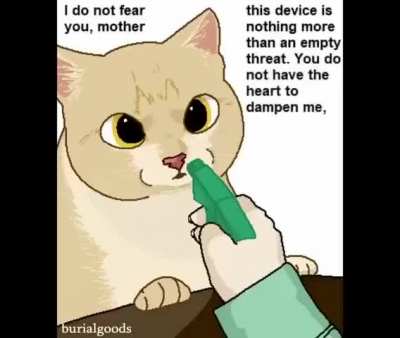 Brave cat 