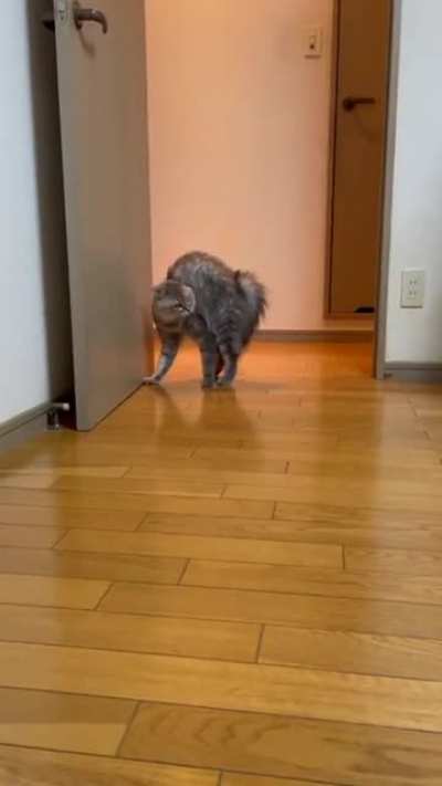 Fear me!