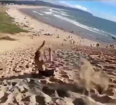 Can&rsquo;t decide which skills owns