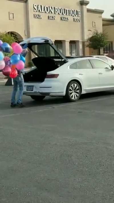 yesyesyesno