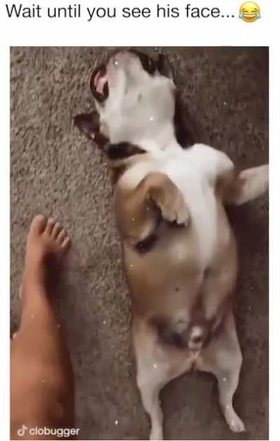 &ldquo;Derp-o-meter has broken with overuse&rdquo;