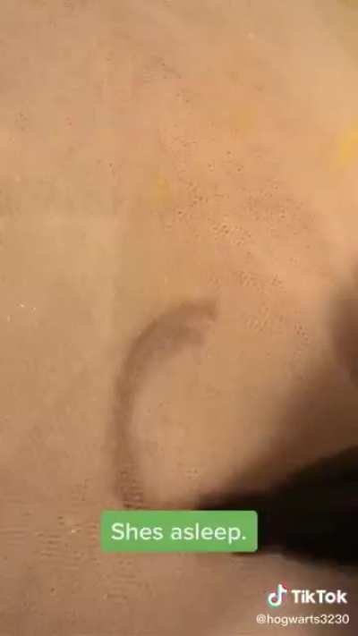 Salty girl LITERALLY RUINS HER FRIEND&rsquo;S WEDDING DRESS because she&rsquo;s petty. Also the comments are all like &ldquo;you go queen that&rsquo;s karma&rdquo;