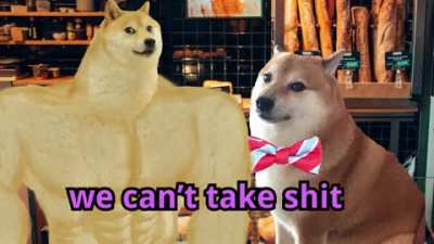 Bread