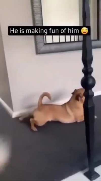 Me irl
